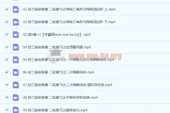 施老板施佳辰 2021春 初三中考数学 11讲带讲义