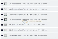 DeepSeek接入Office、WPS、Word、Excel、PPT 打工人神器