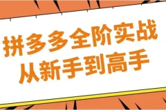 【拼多多全阶实战从新手到高手】