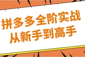 【拼多多全阶实战从新手到高手】