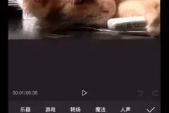 《剪映视频剪辑38课：新手快速进阶指南》