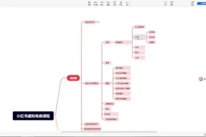 小红书虚拟电商运营实战：从0到1快速入门