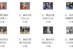 【杰森拳击高清系统教学中英字幕】