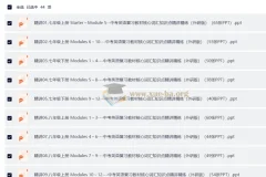 中考英语 复习教材核心词汇知识点精讲精练