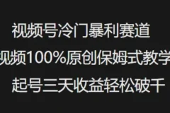 视频号冷门暴利赛道：100%原创保姆式教学