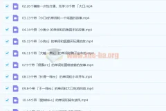 英语名师frank 零基础30天自然拼读背单词