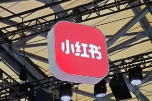 小红书虚拟电商14天变现训练营，虚拟产品，2025年普通人在小红书最后的搞钱机会