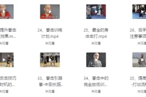 【杰森拳击高清系统教学中英字幕】