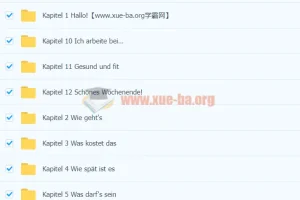 德语初级（柏林广场A1）系统学习，迅速提升，轻松开口说德语