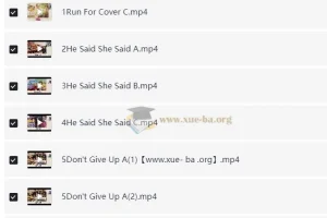 2025 小学英语 小升初 六年级 高级英语培训班李航【剑桥英语PET下】