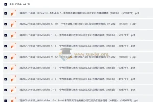 中考英语 复习教材核心词汇知识点精讲精练