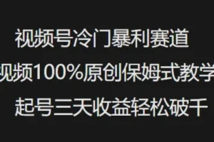 视频号冷门暴利赛道：100%原创保姆式教学