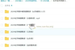高中化学 2025高三高考化学 政哥李政 高考真题12小时精讲班