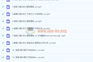 2024高三高考物理 何连伟 一轮 A+秋季班