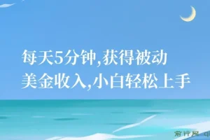 每天5分钟，获得被动美金收入，小白轻松上手