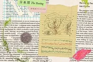 话梅鹿《分水岭》[无损FLAC/MP3/881MB]