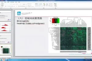 生物信息学进阶：基因与表观遗传数据分析实战