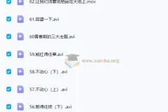 李波老师 李波家庭教育实战+走心家族