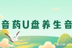 健康养生细分领域赛道，卖音药U盘养生音乐，轻松月赚一万+，可批量操作