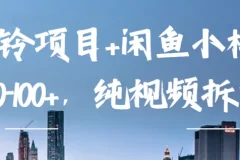 企业彩铃项目+闲鱼小样项目，利润10-100+，纯视频拆解玩法！