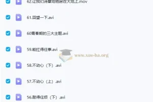 李波老师 李波家庭教育实战+走心家族