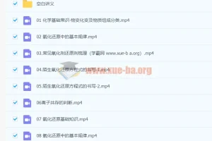 李政化学 2024高三高考 一轮暑假班