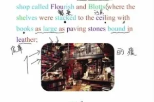 哈利波特精读课：用原著打造沉浸式英语环境（附文化解析）