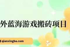 海外蓝海游戏搬砖项目，单机日入500+，可做兼职副业，小白闭眼入