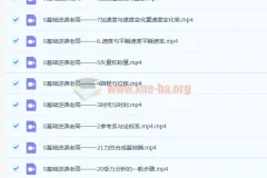 高一物理 大招视频救命包 必修一基础篇