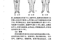 《中国古代养生长寿术 道家秘传回春功》[pdf]