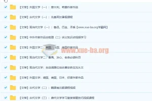 达吾力江文学常识专题课11讲带讲义