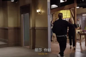 《老友记》1-10季全集中英字幕高清合集