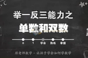 厉老师数学《小学数学系统思维课》 附带讲义和配套习题