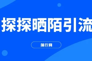 探探陌陌日引200粉，小白新手可做，当天就能变现300+