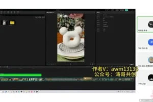 《TikTok推文混剪教程：新手快速变现指南》