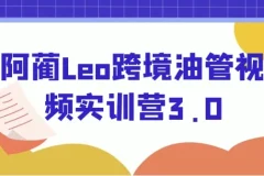 【阿蔺Leo跨境油管视频实训营3.0】