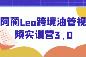【阿蔺Leo跨境油管视频实训营3.0】