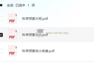 学前 科学探索 小中大班幼小衔接
