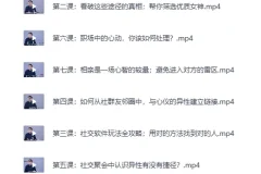 《高质量男性社交手册：认识女生的艺术》[MP4]