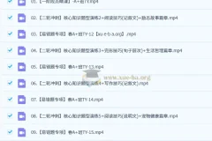 2025初三中考英语 王凯皎英语 暑假 秋季 寒假班 春季班