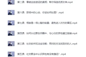 《高质量男性社交手册：认识女生的艺术》[MP4]