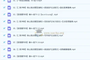 2025初三中考英语 王凯皎英语 暑假 秋季 寒假班 春季班