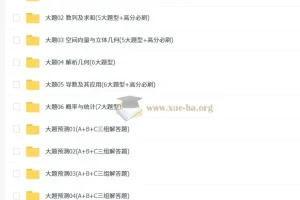【大题精做】冲刺2025年高考数学大题突破+限时集训（新高考专用）