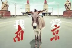 左小祖咒《我爱南京》[无损FLAC/MP3/623MB]