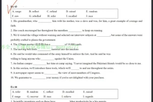 兰生复旦英语三阶段视频课程