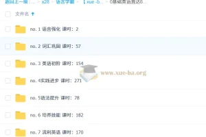 新东方新概念零英语 基础英语直达6级全集课 100GB
