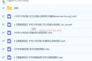 杨萌物理 2024初三中考物理 A+春季班（春下）