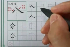 《萝卜老师练字课：从基础到进阶，快速提升书写技巧》