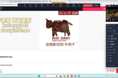 蚂蚁电商千川自然流实战课：短视频+直播爆量技巧