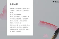 小红书宝宝起名副业实战：一键操作+专业软件